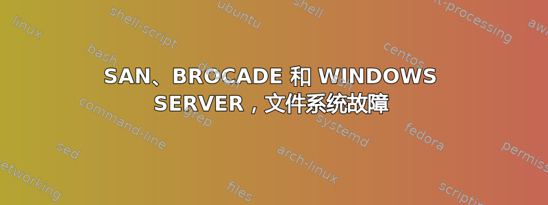 SAN、BROCADE 和 WINDOWS SERVER，文件系统故障