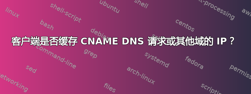 客户端是否缓存 CNAME DNS 请求或其他域的 IP？