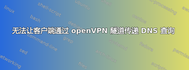 无法让客户端通过 openVPN 隧道传递 DNS 查询