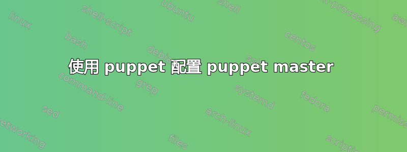 使用 puppet 配置 puppet master