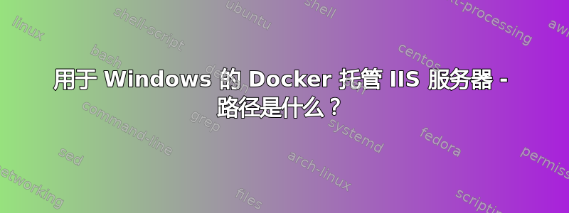 用于 Windows 的 Docker 托管 IIS 服务器 - 路径是什么？