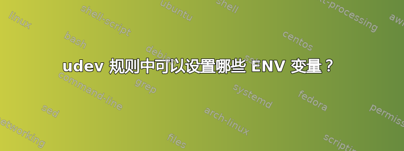 udev 规则中可以设置哪些 ENV 变量？