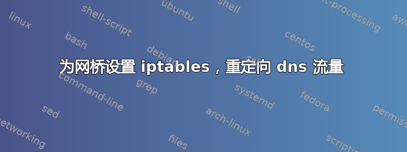 为网桥设置 iptables，重定向 dns 流量