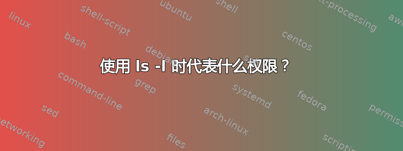 使用 ls -l 时代表什么权限？ 