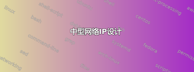 中型网络IP设计