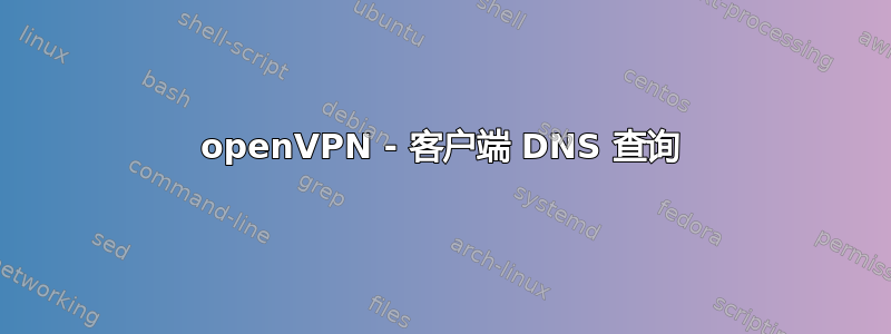 openVPN - 客户端 DNS 查询