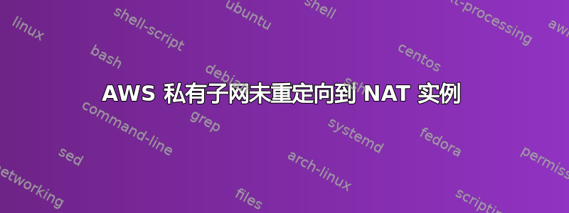 AWS 私有子网未重定向到 NAT 实例