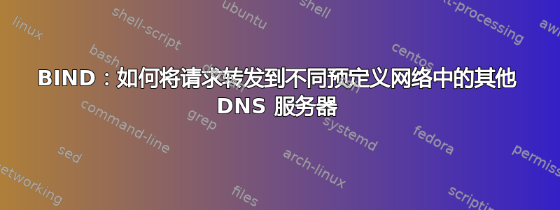 BIND：如何将请求转发到不同预定义网络中的其他 DNS 服务器