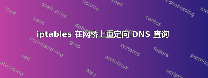 iptables 在网桥上重定向 DNS 查询