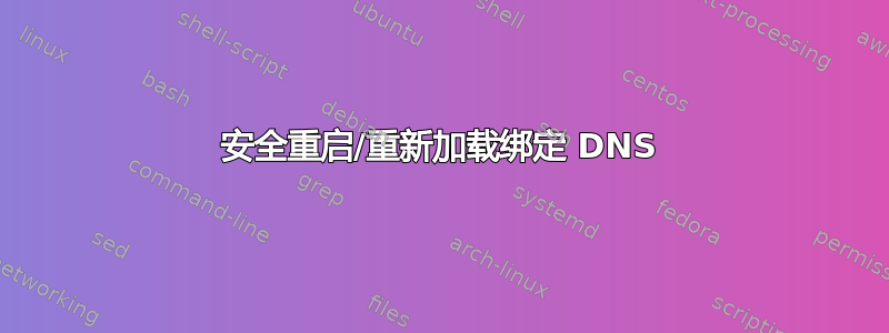 安全重启/重新加载绑定 DNS