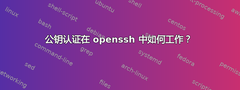 公钥认证在 openssh 中如何工作？