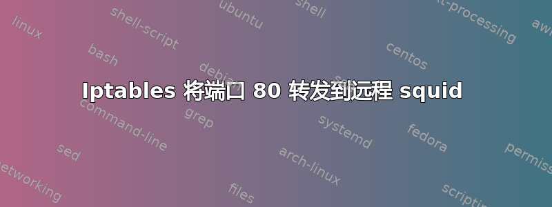 Iptables 将端口 80 转发到远程 squid