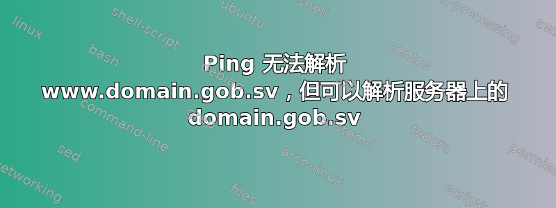 Ping 无法解析 www.domain.gob.sv，但可以解析服务器上的 domain.gob.sv