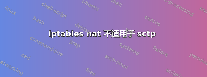 iptables nat 不适用于 sctp