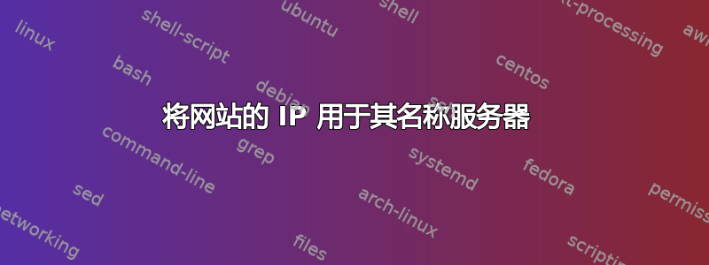 将网站的 IP 用于其名称服务器 