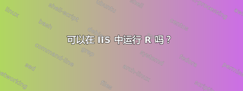 可以在 IIS 中运行 R 吗？