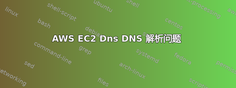 AWS EC2 Dns DNS 解析问题