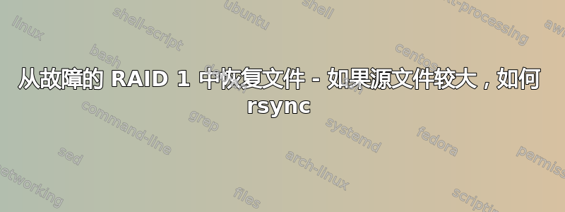 从故障的 RAID 1 中恢复文件 - 如果源文件较大，如何 rsync