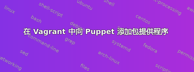 在 Vagrant 中向 Puppet 添加包提供程序