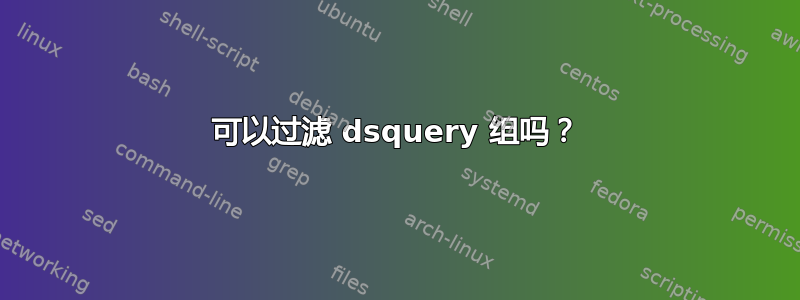 可以过滤 dsquery 组吗？