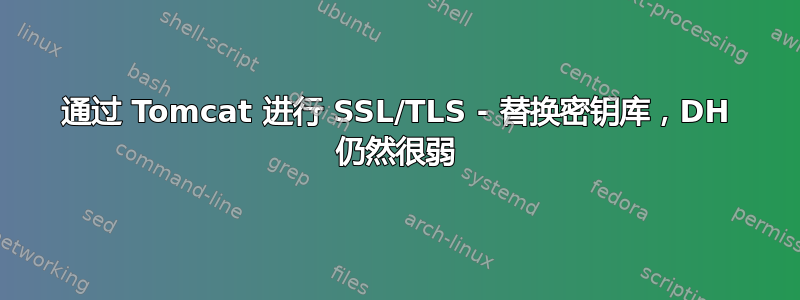 通过 Tomcat 进行 SSL/TLS - 替换密钥库，DH 仍然很弱