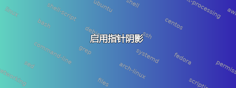 启用指针阴影