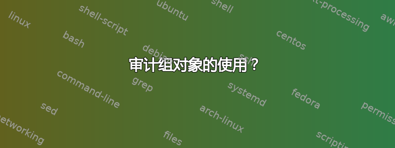 审计组对象的使用？