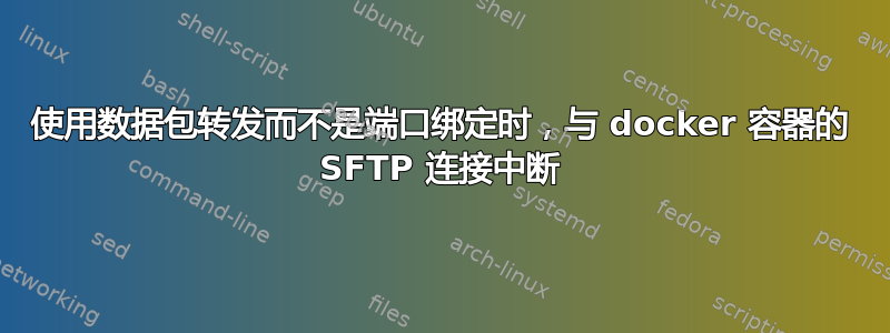 使用数据包转发而不是端口绑定时，与 docker 容器的 SFTP 连接中断