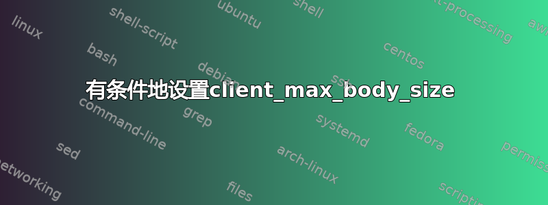 有条件地设置client_max_body_size