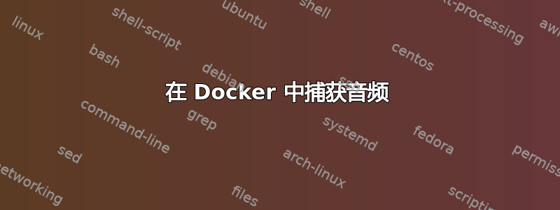 在 Docker 中捕获音频