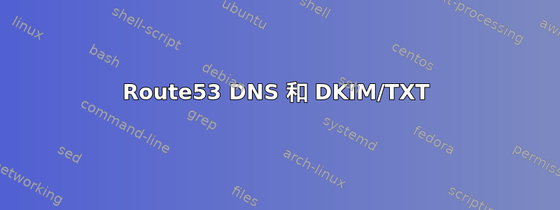 Route53 DNS 和 DKIM/TXT