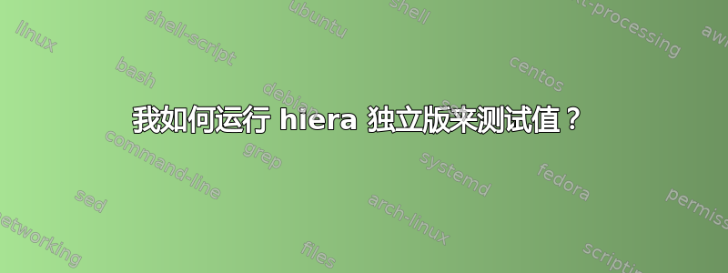 我如何运行 hiera 独立版来测试值？