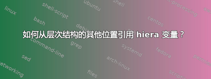 如何从层次结构的其他位置引用 hiera 变量？