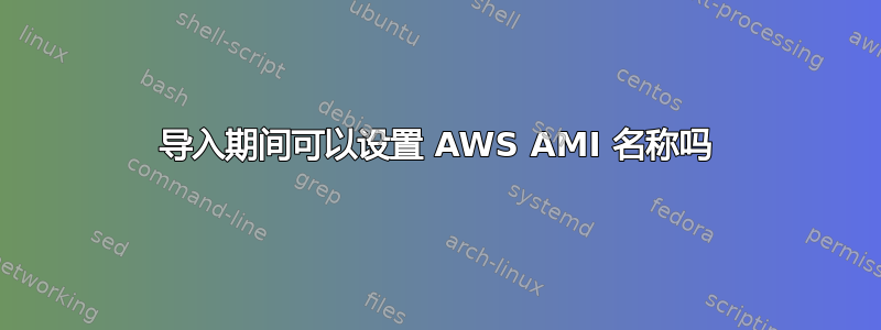 导入期间可以设置 AWS AMI 名称吗