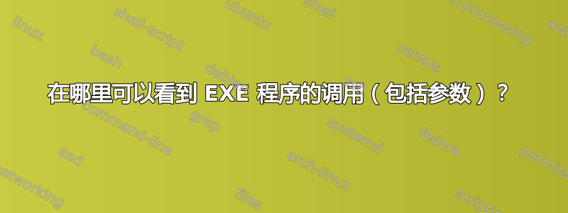 在哪里可以看到 EXE 程序的调用（包括参数）？