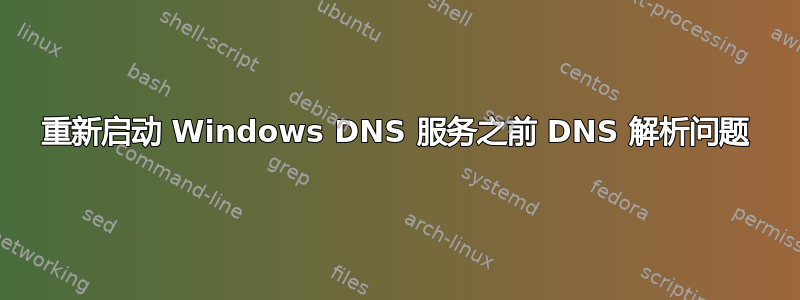 重新启动 Windows DNS 服务之前 DNS 解析问题