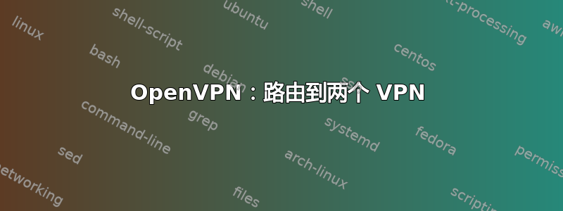 OpenVPN：路由到两个 VPN