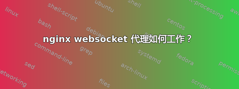 nginx websocket 代理如何工作？