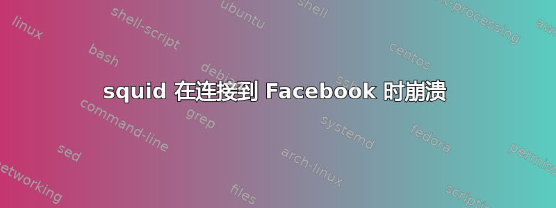 squid 在连接到 Facebook 时崩溃