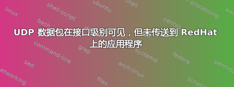 UDP 数据包在接口级别可见，但未传送到 RedHat 上的应用程序