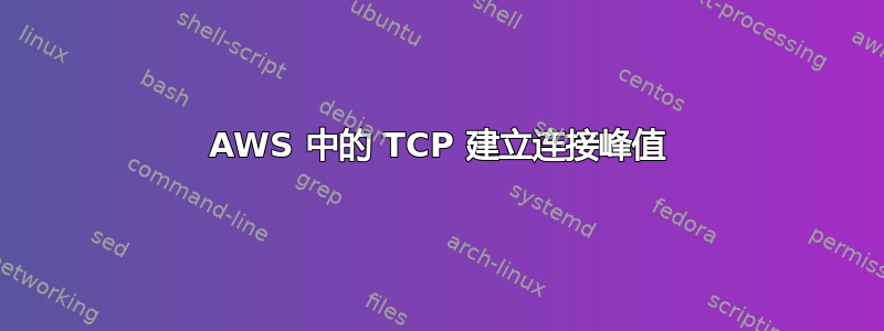 AWS 中的 TCP 建立连接峰值