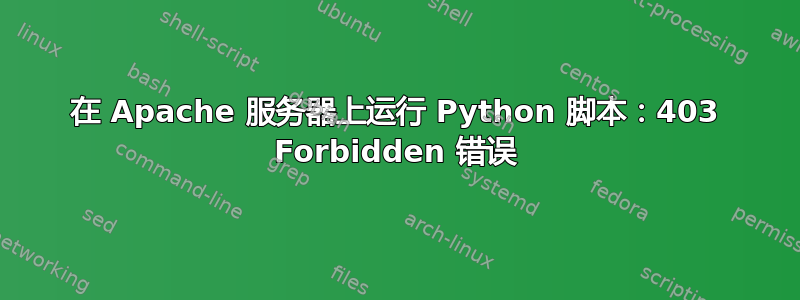 在 Apache 服务器上运行 Python 脚本：403 Forbidden 错误