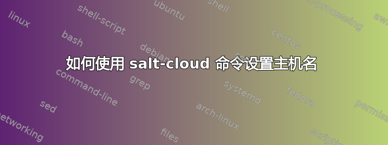 如何使用 salt-cloud 命令设置主机名