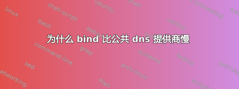 为什么 bind 比公共 dns 提供商慢