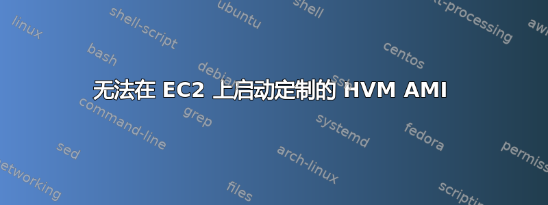 无法在 EC2 上启动定制的 HVM AMI