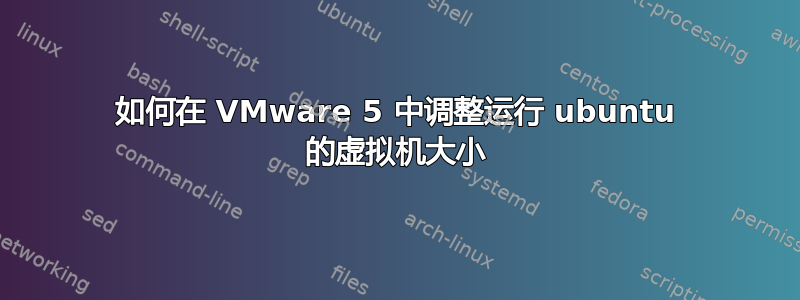 如何在 VMware 5 中调整运行 ubuntu 的虚拟机大小