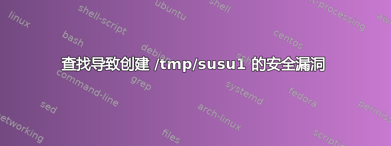 查找导致创建 /tmp/susu1 的安全漏洞