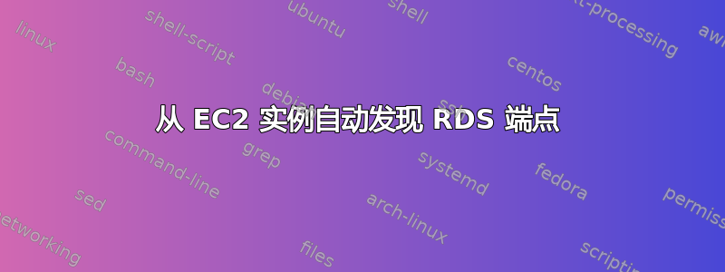 从 EC2 实例自动发现 RDS 端点