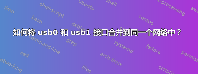 如何将 usb0 和 usb1 接口合并到同一个网络中？