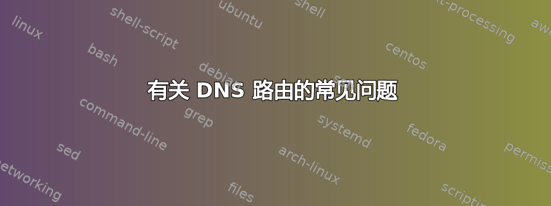 有关 DNS 路由的常见问题